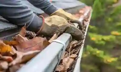 Gutter Cleaning