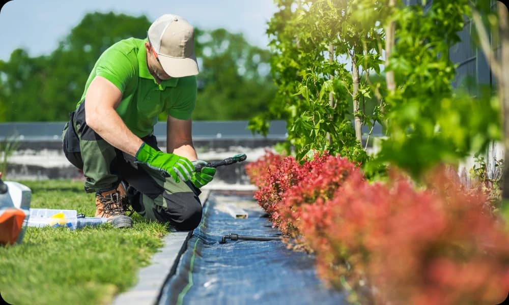 Drip irrigation system being installed by a professional landscaper