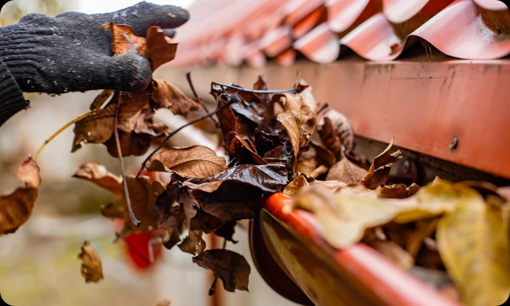 expert clearing dead leaves from the gutter of a red roof with gloved hands