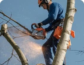 Professional using phone