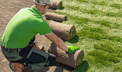 Artificial Grass Installation