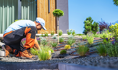 Landscaping
